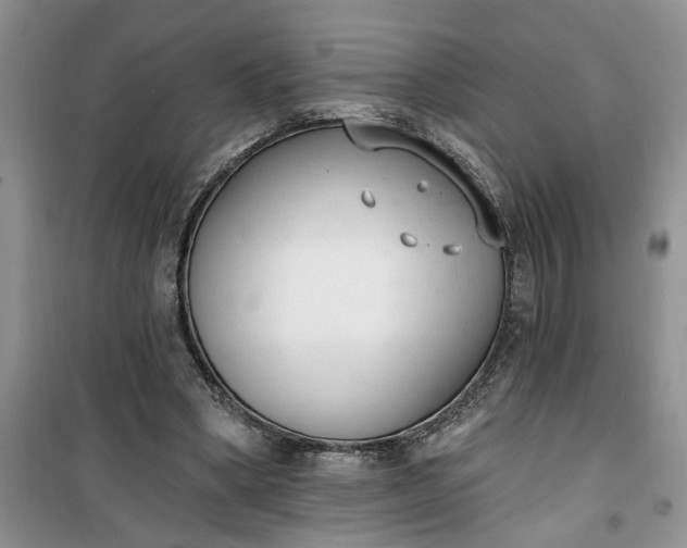 X0000100960394200807081246