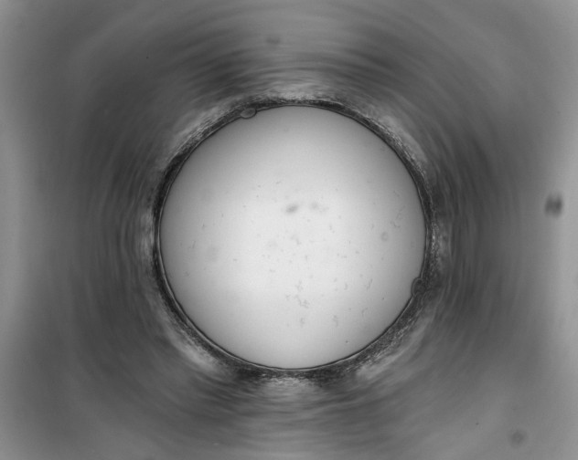 X0000100960397200807081246