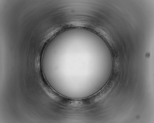 X0000100960398200807081246