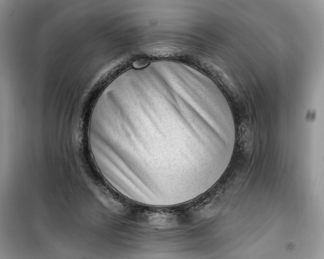 X0000100960400200807081246