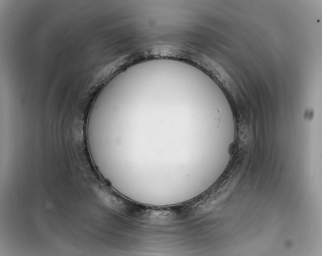 X0000100960401200807081246