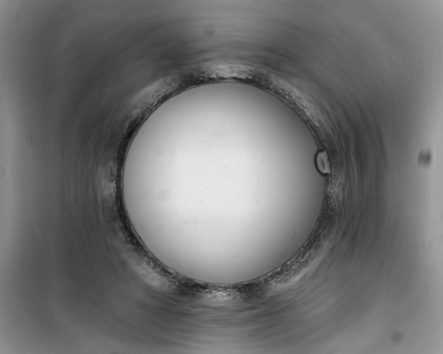 X0000100960402200807081246