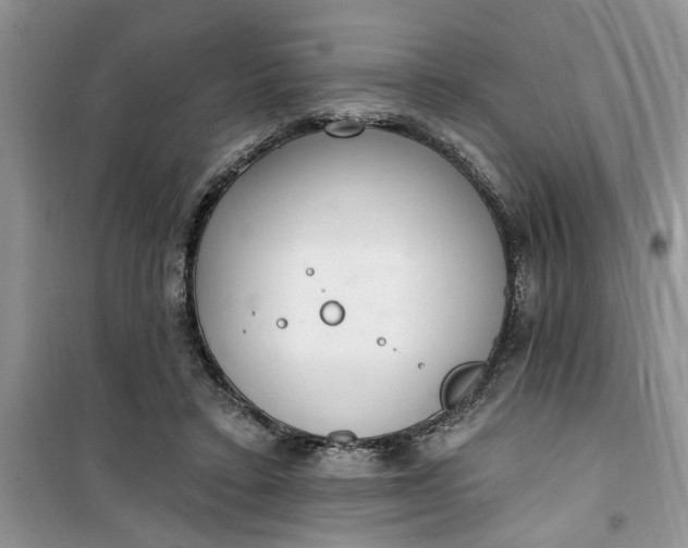 X0000100960403200807081246