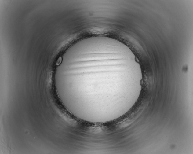 X0000100960404200807081246