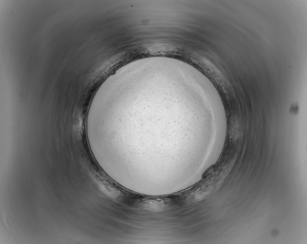 X0000100960405200807081246