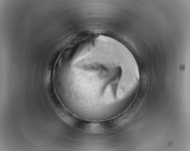 X0000100960406200807081246