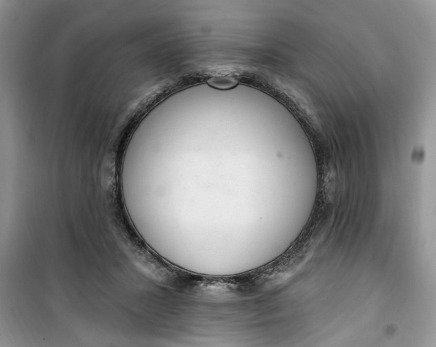 X0000100960407200807081246