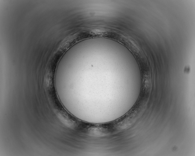 X0000100960408200807081246