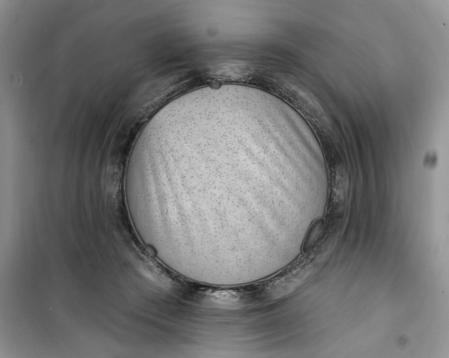 X0000100960409200807081246