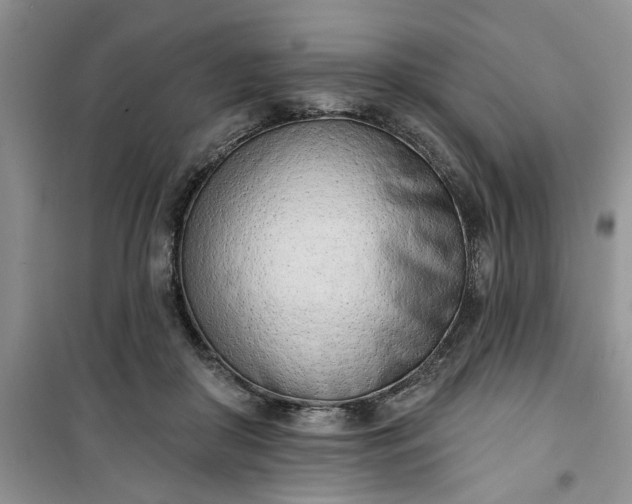 X0000100960410200807081246