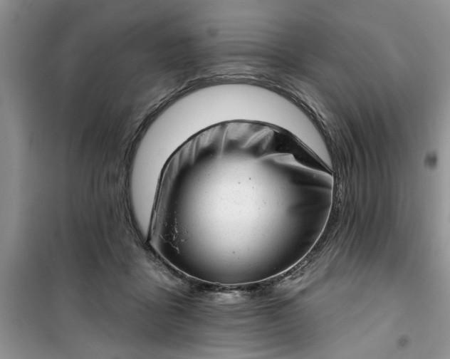 X0000100960411200807081246