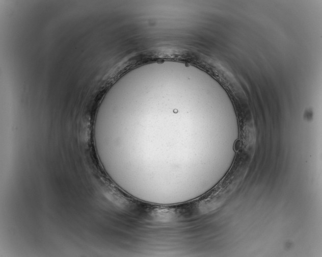 X0000100960413200807081246