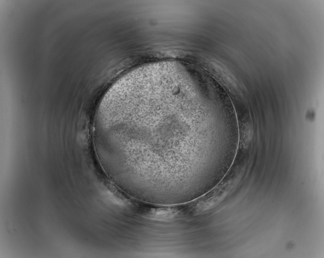 X0000100960414200807081246