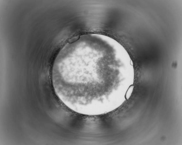 X0000100960415200807081246