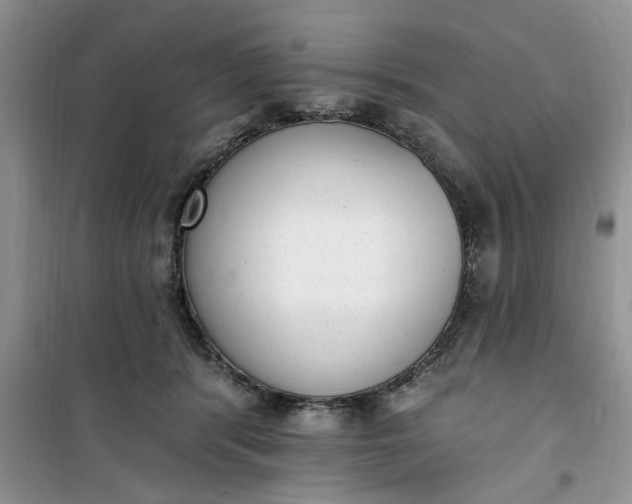 X0000100960416200807081246