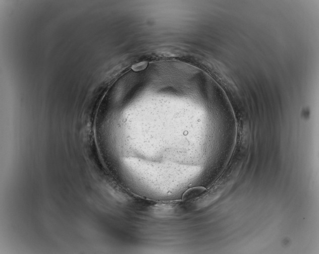 X0000100960418200807081246