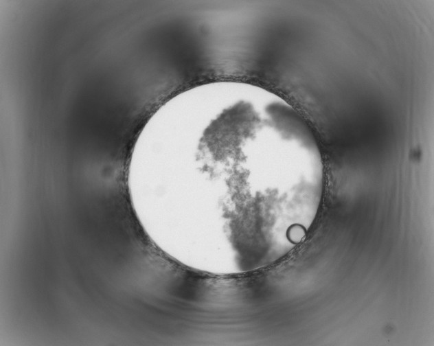 X0000100960419200807081246