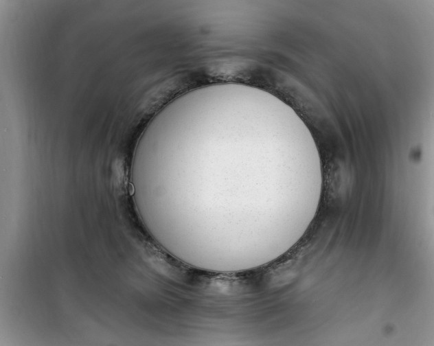 X0000100960420200807081246