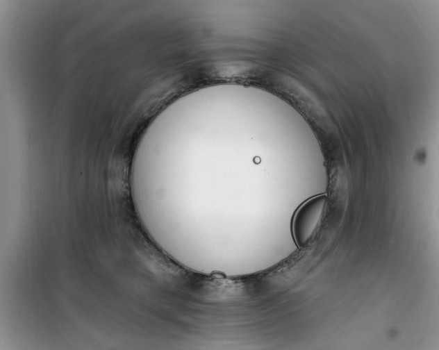 X0000100960421200807081246