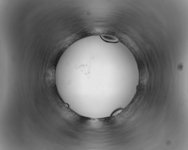 X0000100960425200807081246