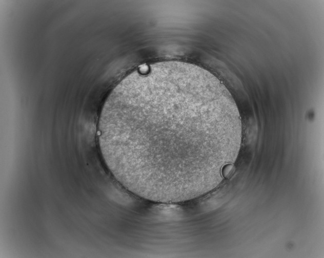 X0000100960427200807081246