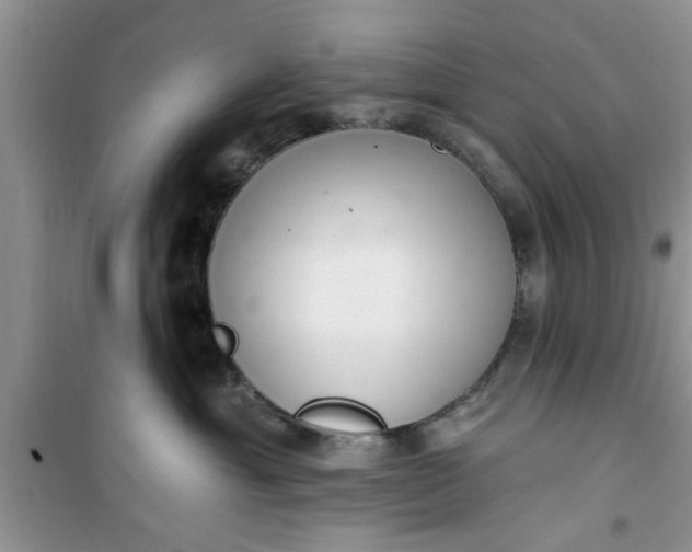 X0000100960429200807081246