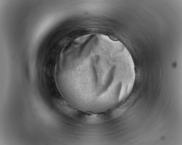 X0000100960430200807081246