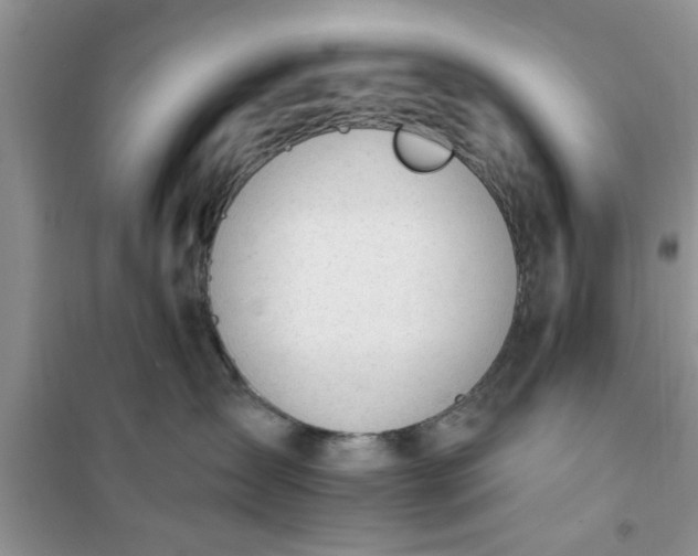 X0000100960431200807081246