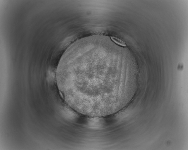 X0000100960432200807081246