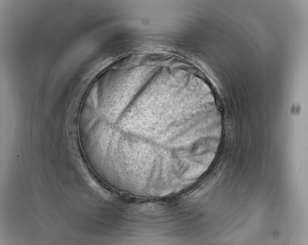 X0000100960433200807081245