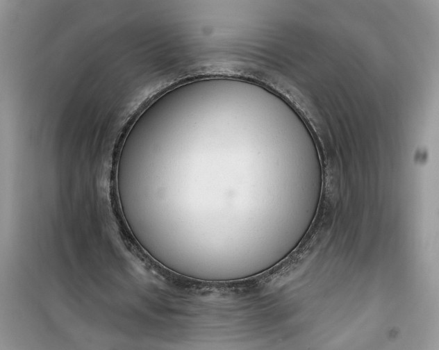 X0000100960434200807081245