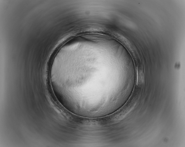 X0000100960435200807081245