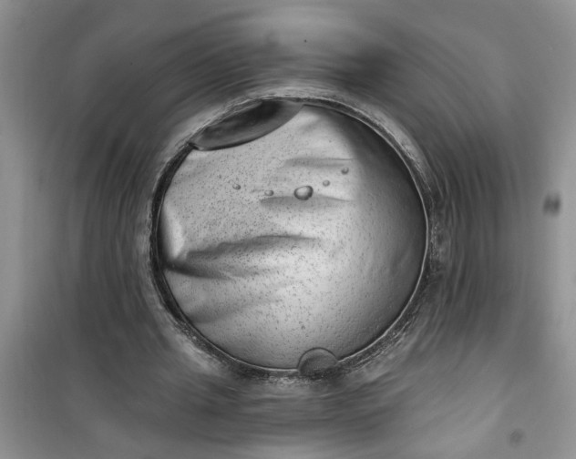 X0000100960437200807081245