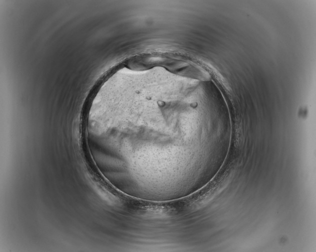 X0000100960439200807081245