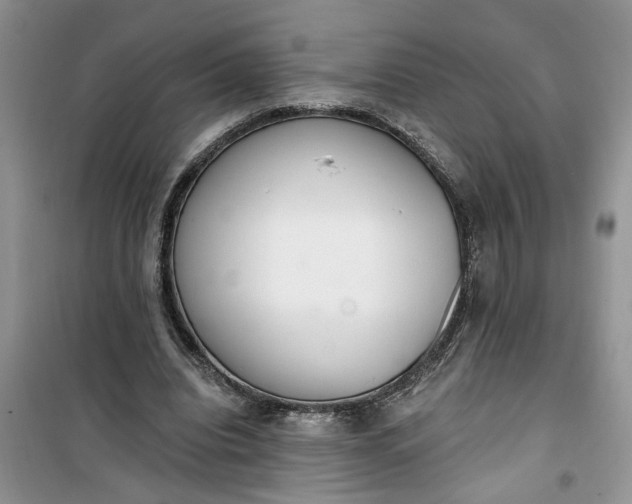 X0000100960440200807081245