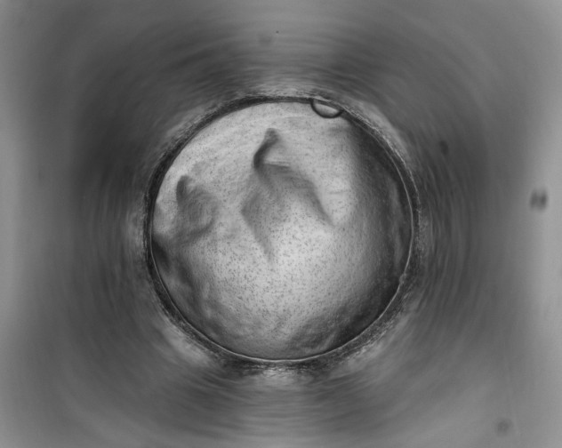 X0000100960441200807081245