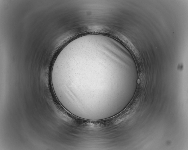 X0000100960442200807081245