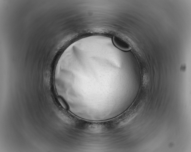 X0000100960444200807081245