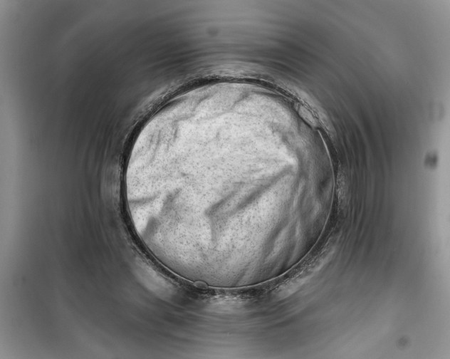 X0000100960445200807081245