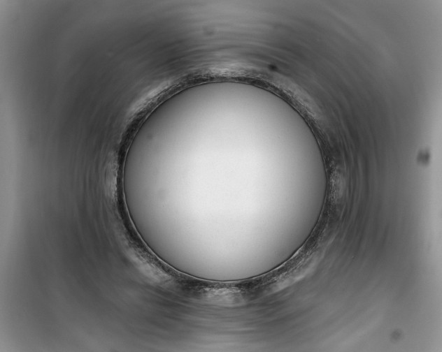 X0000100960446200807081245