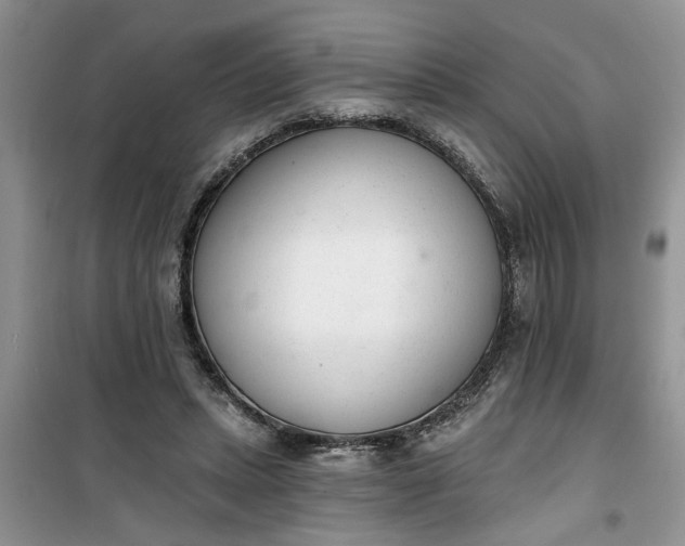 X0000100960447200807081245