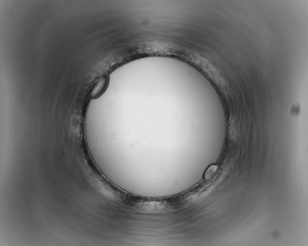 X0000100960449200807081245