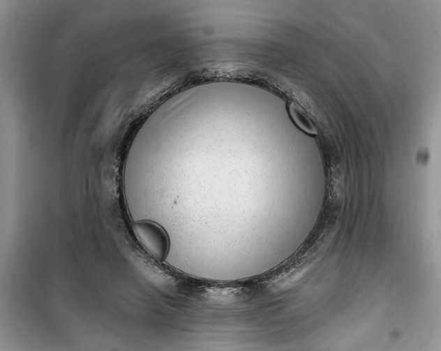 X0000100960450200807081245