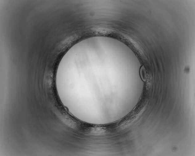 X0000100960451200807081245