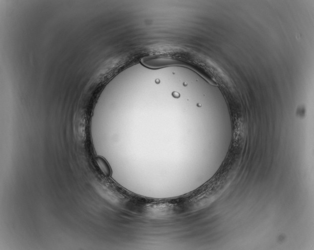 X0000100960452200807081245