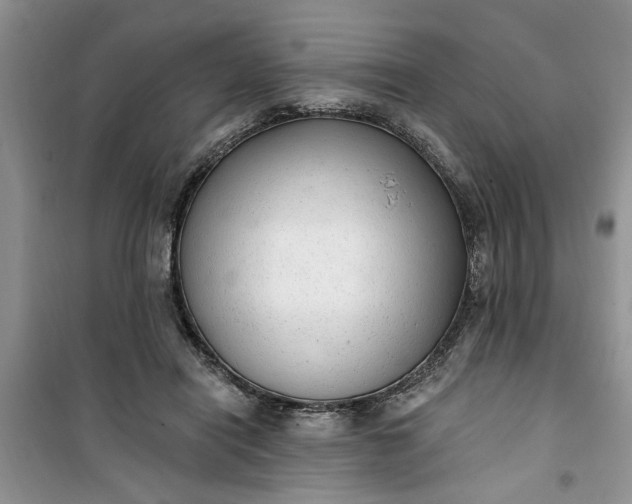 X0000100960454200807081245