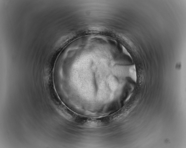 X0000100960455200807081245