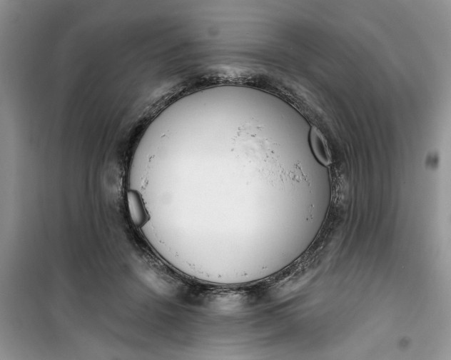 X0000100960456200807081245