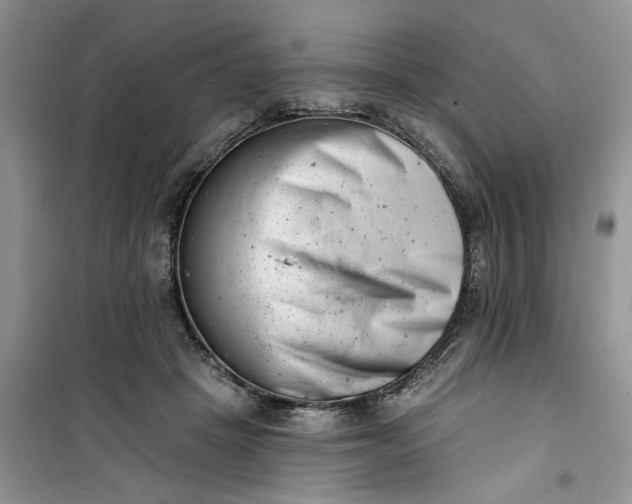 X0000100960457200807081245