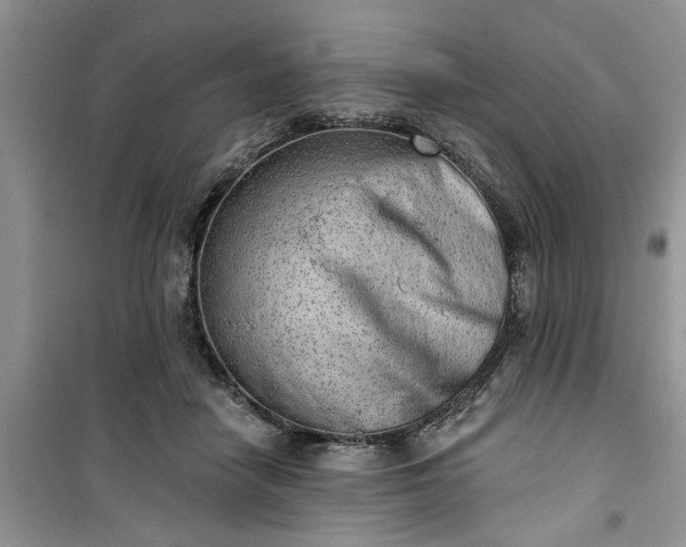 X0000100960458200807081245